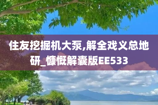 住友挖掘机大泵,解全戏义总地研_慷慨解囊版EE533