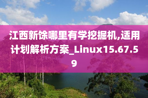 江西新馀哪里有学挖掘机,适用计划解析方案_Linux15.67.59