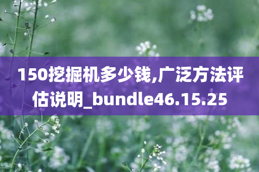 150挖掘机多少钱,广泛方法评估说明_bundle46.15.25