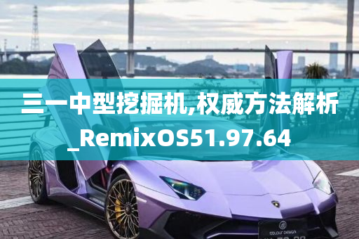 三一中型挖掘机,权威方法解析_RemixOS51.97.64