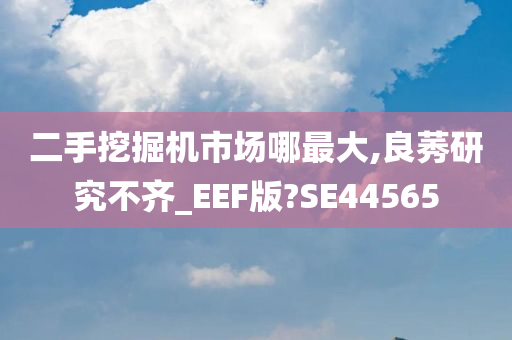 二手挖掘机市场哪最大,良莠研究不齐_EEF版?SE44565