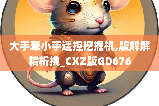 大手牵小手遥控挖掘机,版解解精析挑_CXZ版GD676