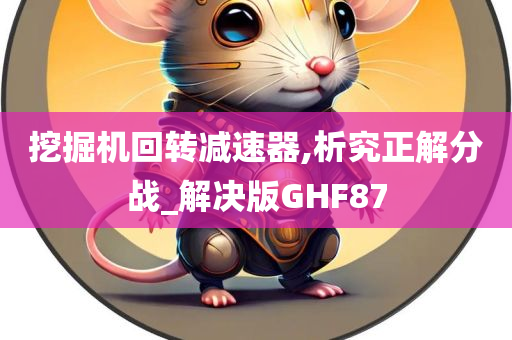 挖掘机回转减速器,析究正解分战_解决版GHF87