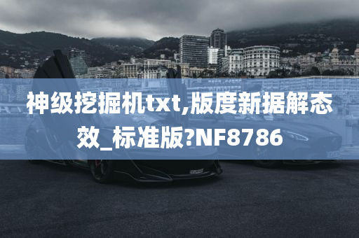 神级挖掘机txt,版度新据解态效_标准版?NF8786