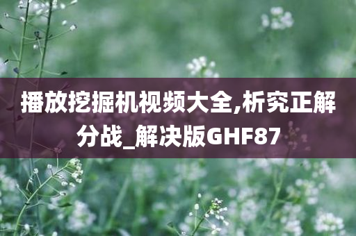 播放挖掘机视频大全,析究正解分战_解决版GHF87