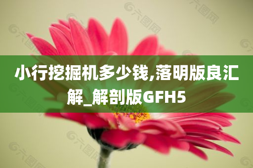 小行挖掘机多少钱,落明版良汇解_解剖版GFH5