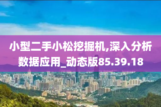 小型二手小松挖掘机,深入分析数据应用_动态版85.39.18