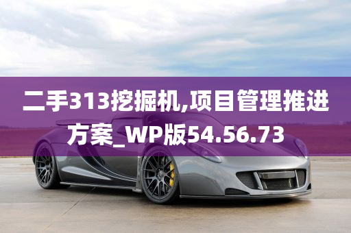 二手313挖掘机,项目管理推进方案_WP版54.56.73