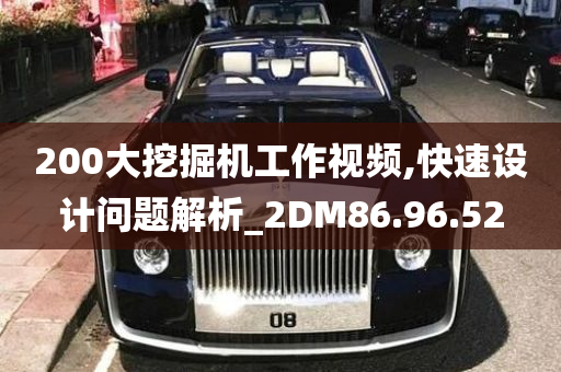 200大挖掘机工作视频,快速设计问题解析_2DM86.96.52