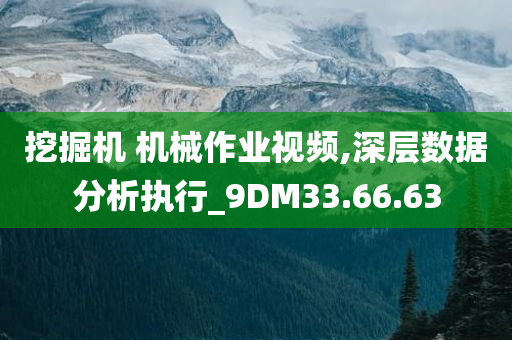 挖掘机 机械作业视频,深层数据分析执行_9DM33.66.63