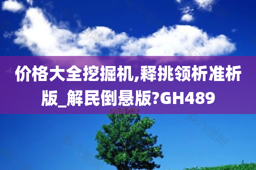 价格大全挖掘机,释挑领析准析版_解民倒悬版?GH489