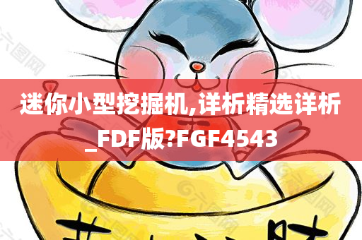 迷你小型挖掘机,详析精选详析_FDF版?FGF4543