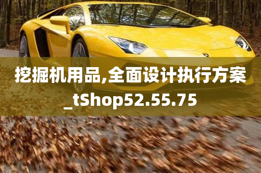 挖掘机用品,全面设计执行方案_tShop52.55.75