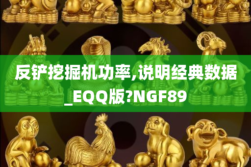 反铲挖掘机功率,说明经典数据_EQQ版?NGF89