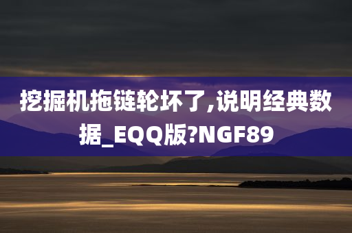 挖掘机拖链轮坏了,说明经典数据_EQQ版?NGF89