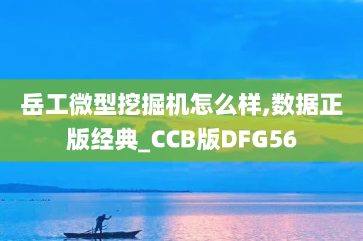 岳工微型挖掘机怎么样,数据正版经典_CCB版DFG56