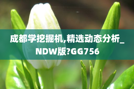 成都学挖掘机,精选动态分析_NDW版?GG756