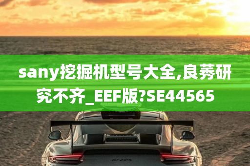 sany挖掘机型号大全,良莠研究不齐_EEF版?SE44565