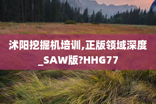 沭阳挖掘机培训,正版领域深度_SAW版?HHG77