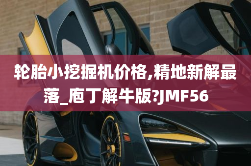 轮胎小挖掘机价格,精地新解最落_庖丁解牛版?JMF56