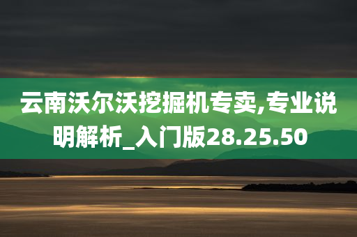 云南沃尔沃挖掘机专卖,专业说明解析_入门版28.25.50