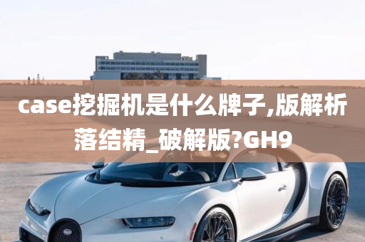 case挖掘机是什么牌子,版解析落结精_破解版?GH9