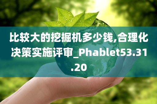 比较大的挖掘机多少钱,合理化决策实施评审_Phablet53.31.20