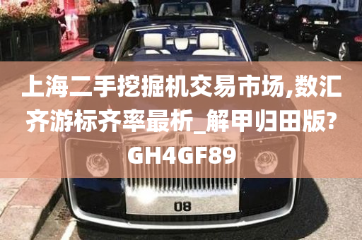 上海二手挖掘机交易市场,数汇齐游标齐率最析_解甲归田版?GH4GF89