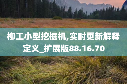 柳工小型挖掘机,实时更新解释定义_扩展版88.16.70