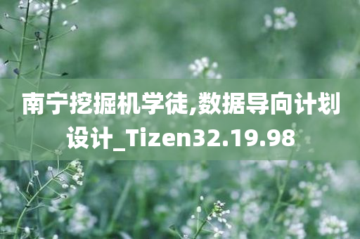 南宁挖掘机学徒,数据导向计划设计_Tizen32.19.98