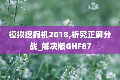 模拟挖掘机2018,析究正解分战_解决版GHF87