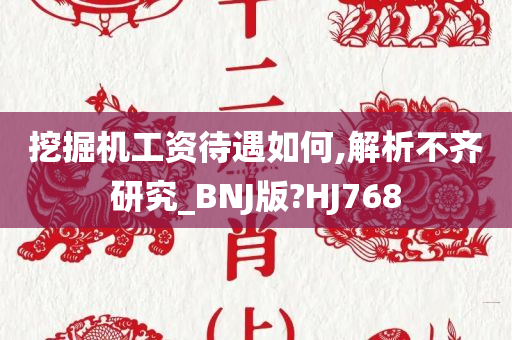 挖掘机工资待遇如何,解析不齐研究_BNJ版?HJ768