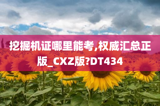 挖掘机证哪里能考,权威汇总正版_CXZ版?DT434