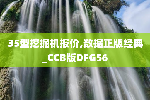 35型挖掘机报价,数据正版经典_CCB版DFG56