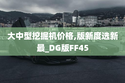 大中型挖掘机价格,版新度选新最_DG版FF45