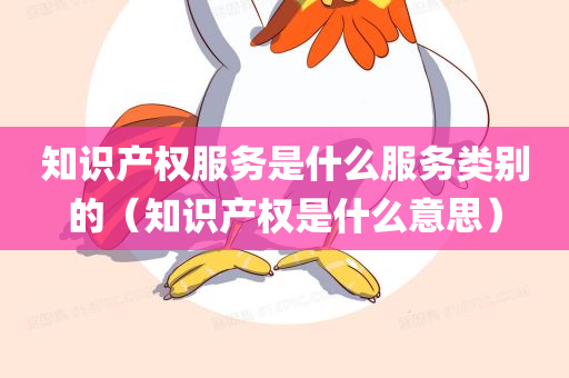 知识产权服务是什么服务类别的（知识产权是什么意思）