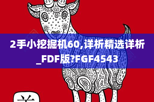 2手小挖掘机60,详析精选详析_FDF版?FGF4543