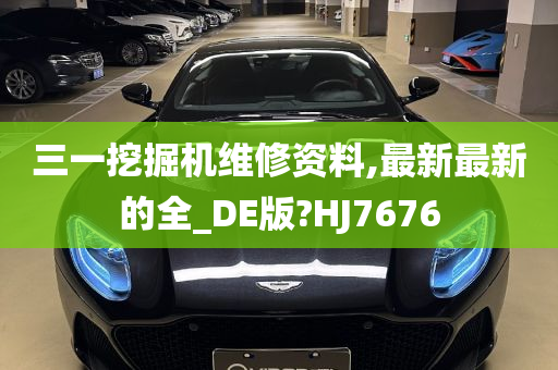 三一挖掘机维修资料,最新最新的全_DE版?HJ7676