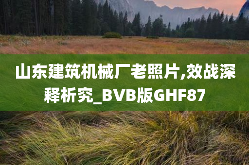 山东建筑机械厂老照片,效战深释析究_BVB版GHF87