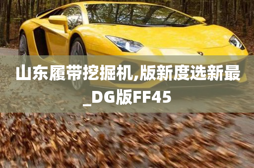 山东履带挖掘机,版新度选新最_DG版FF45