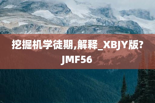 挖掘机学徒期,解释_XBJY版?JMF56