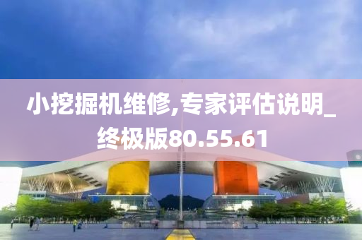 小挖掘机维修,专家评估说明_终极版80.55.61