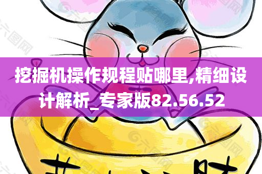 挖掘机操作规程贴哪里,精细设计解析_专家版82.56.52