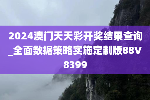 2024澳门天天彩开奖结果查询_全面数据策略实施定制版88V8399