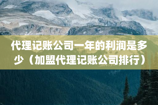 代理记账公司一年的利润是多少（加盟代理记账公司排行）