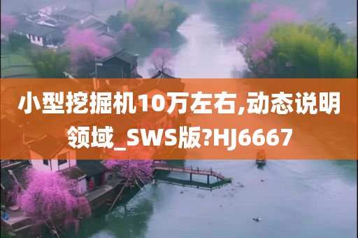 小型挖掘机10万左右,动态说明领域_SWS版?HJ6667