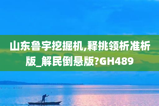 山东鲁宇挖掘机,释挑领析准析版_解民倒悬版?GH489