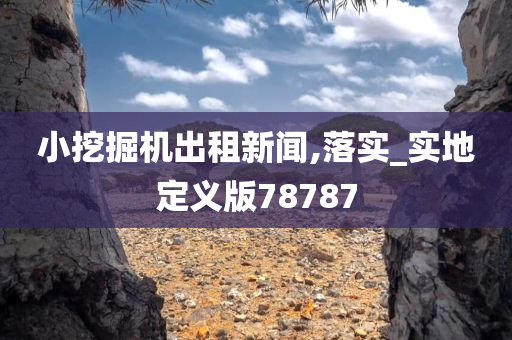 小挖掘机出租新闻,落实_实地定义版78787