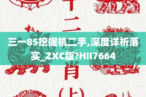 三一85挖掘机二手,深度详析落实_ZXC版?HII7664