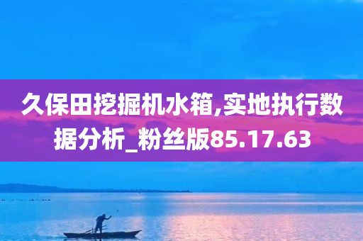 久保田挖掘机水箱,实地执行数据分析_粉丝版85.17.63